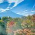 屋外の景色