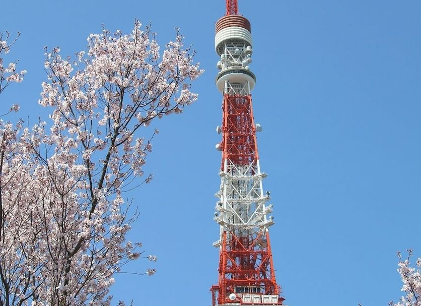 その他 写真