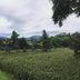 屋外の景色