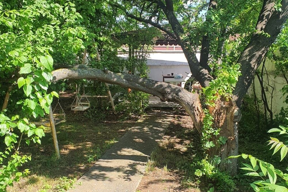 屋外の景色