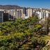 屋外の景色