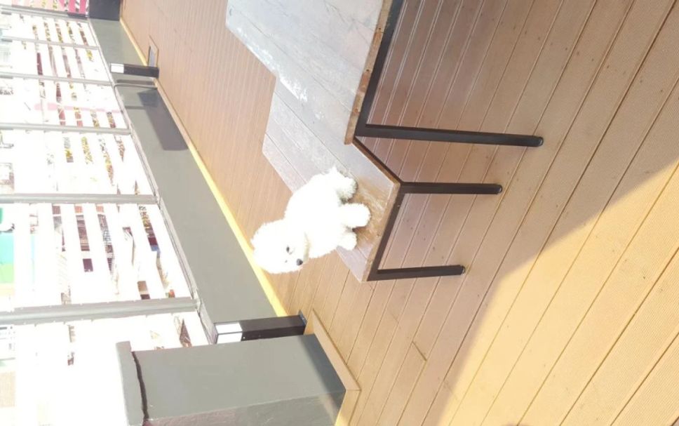 バルコニー 写真