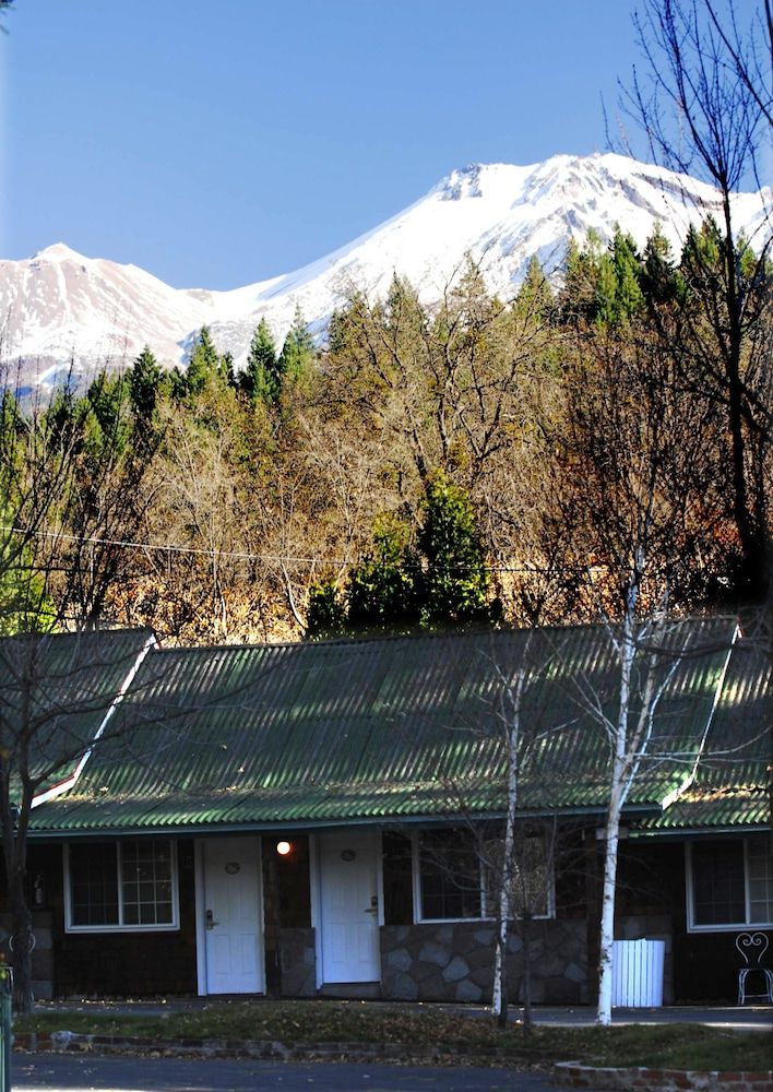 屋外の景色