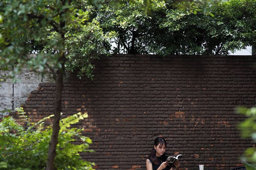 屋外の景色