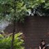 屋外の景色