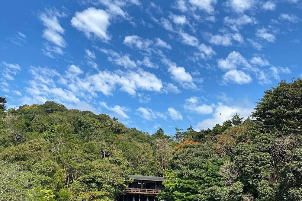 屋外の景色