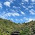 屋外の景色