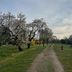 屋外の景色
