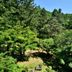 屋外の景色