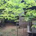 屋外の景色