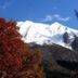 屋外の景色