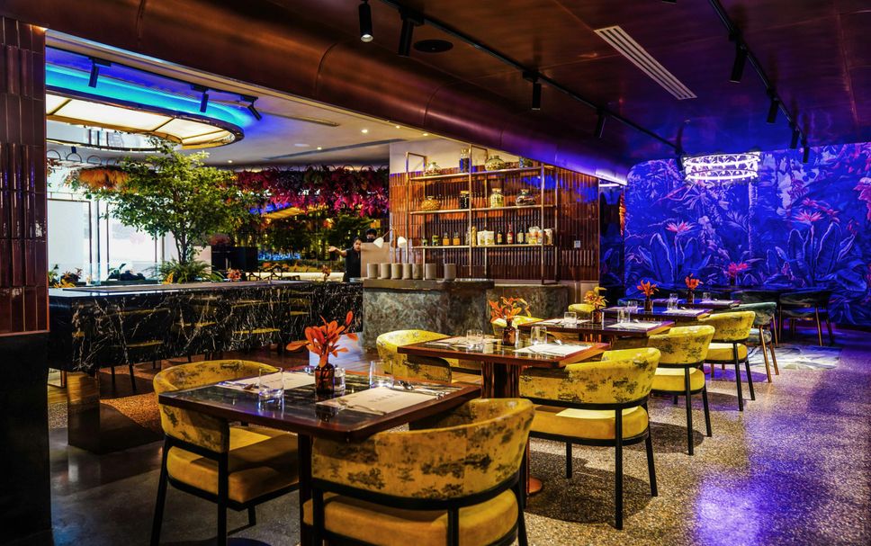 レストラン 写真