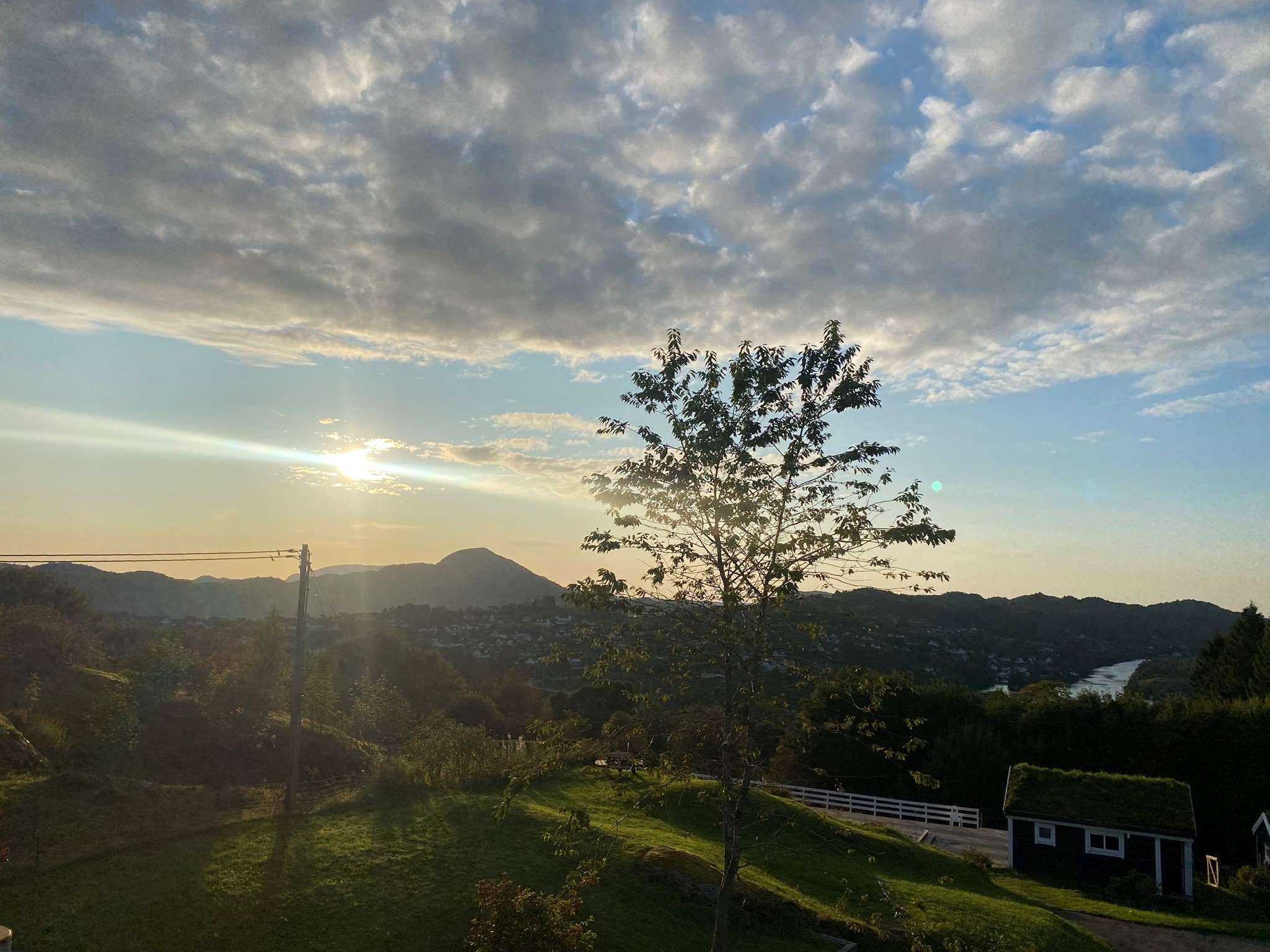屋外の景色