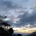 屋外の景色