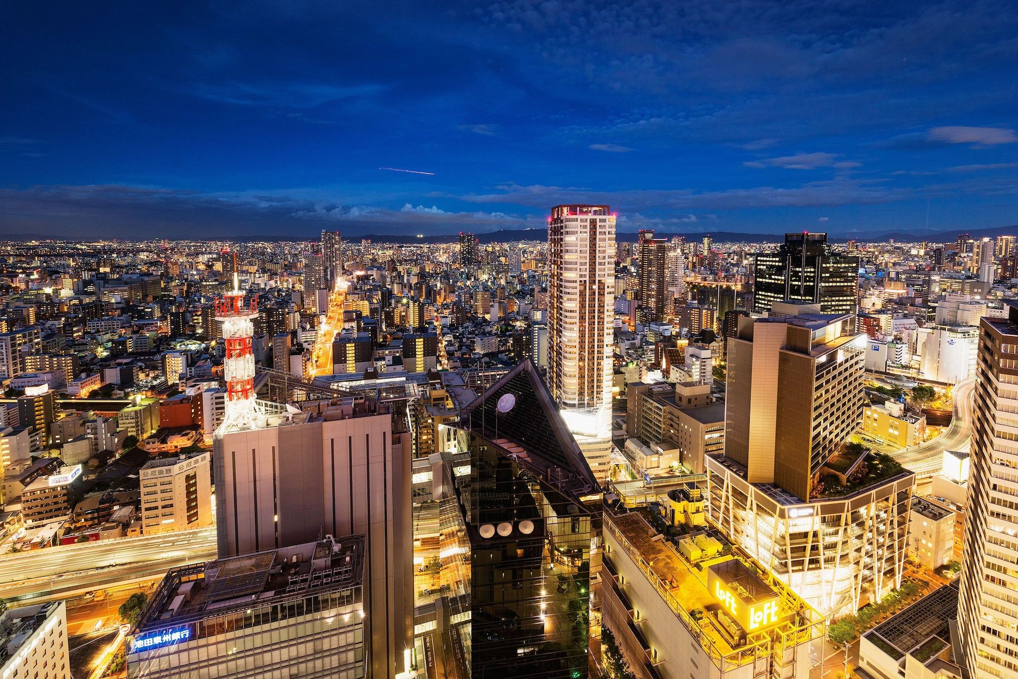 屋外の景色