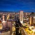 屋外の景色