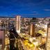 屋外の景色