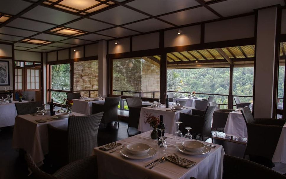 レストラン 写真