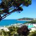 屋外の景色