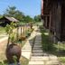 屋外の景色