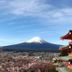屋外の景色