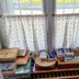 屋外の景色