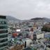 屋外の景色
