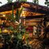 屋外の景色