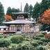 屋外の景色