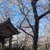 屋外の景色