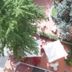 屋外の景色