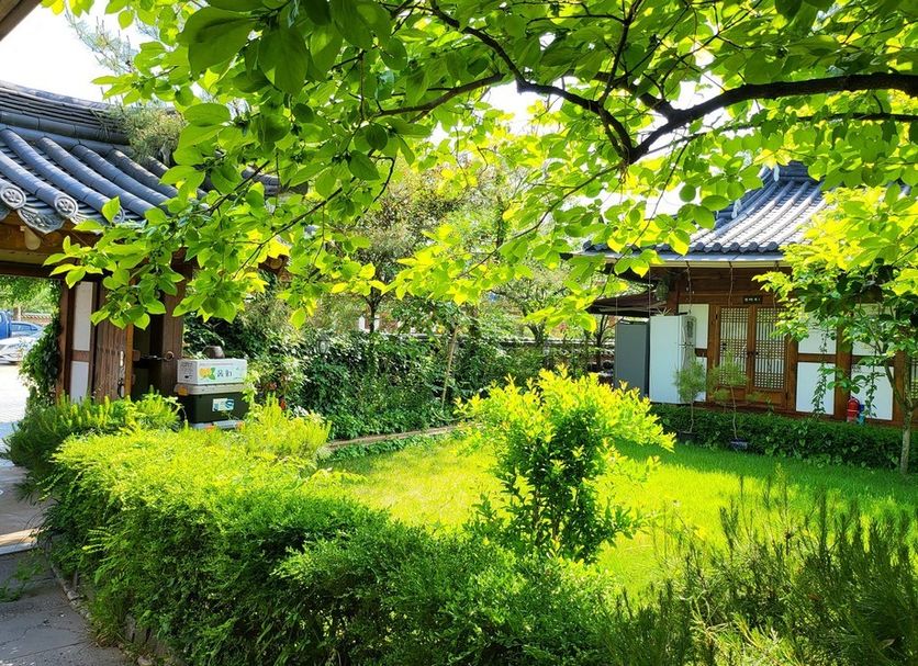 屋外の景色 写真