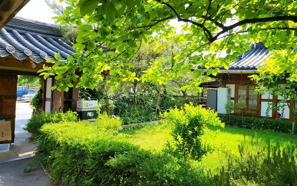 屋外の景色 写真