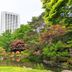 屋外の景色