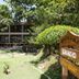 屋外の景色