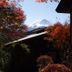 屋外の景色