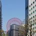 屋外の景色