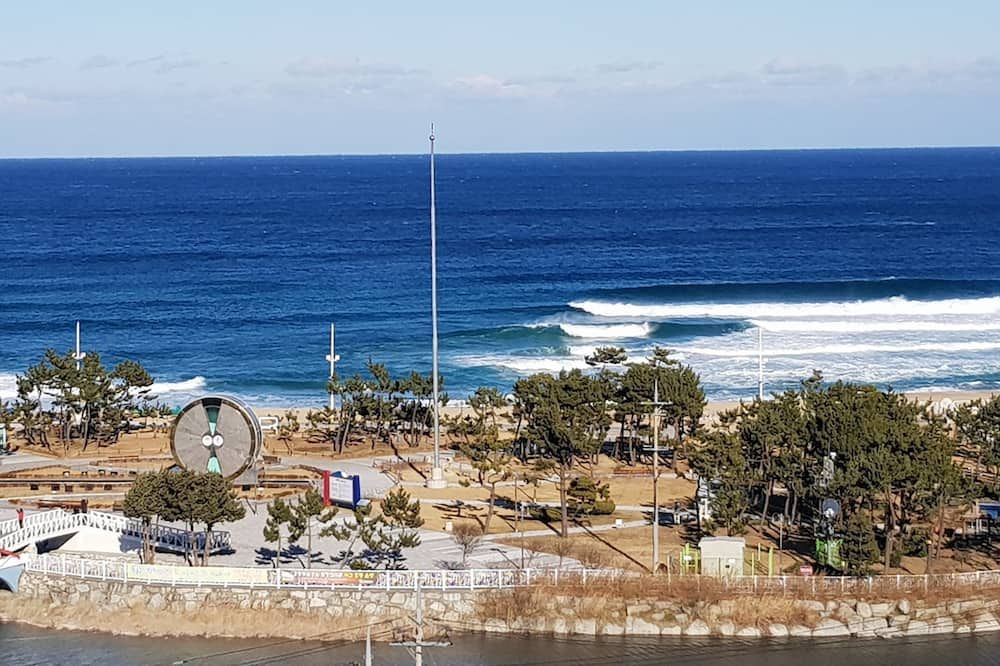 屋外の景色