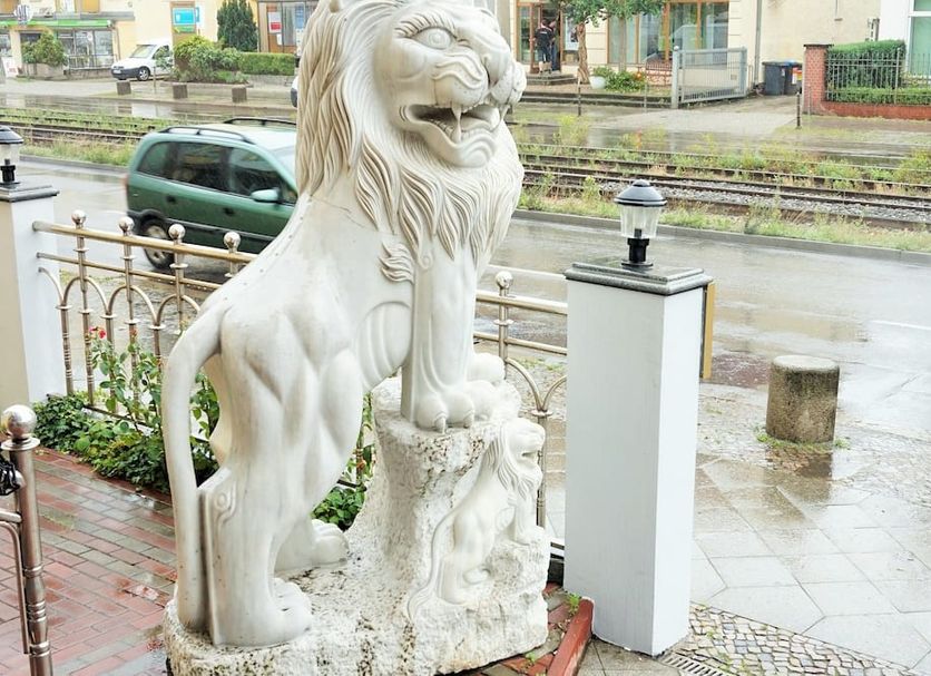 その他 写真