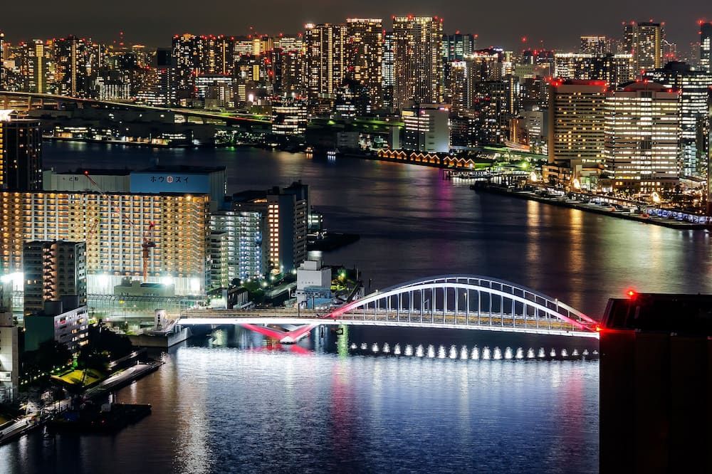 屋外の景色