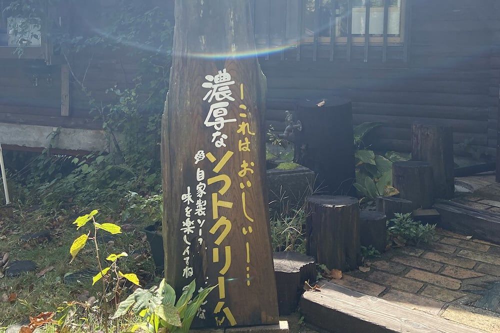 屋外の景色