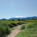 屋外の景色