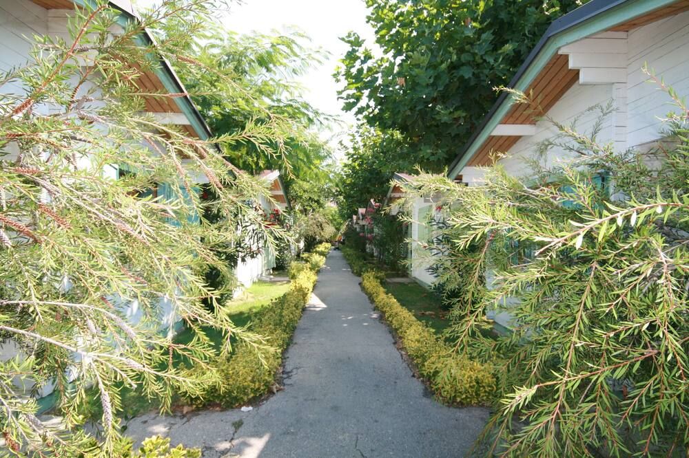 屋外の景色