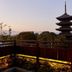 屋外の景色