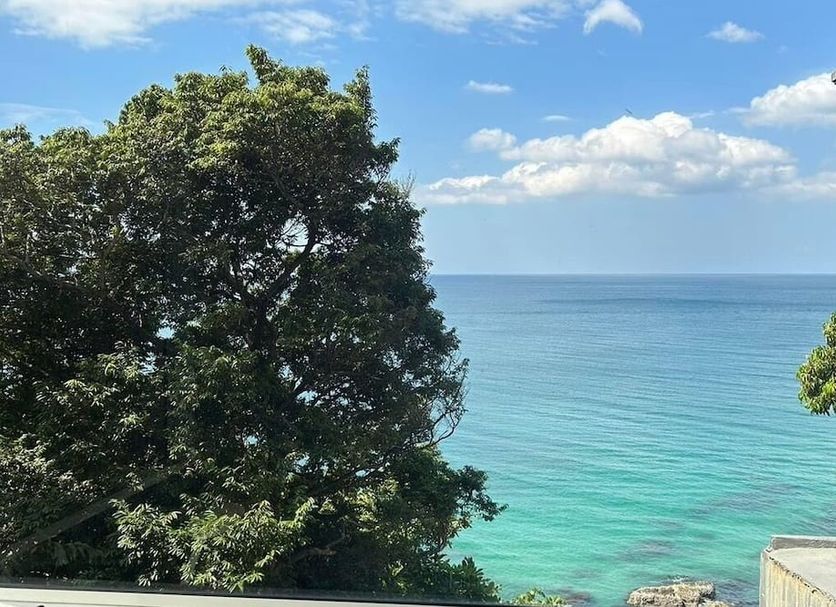 その他 写真