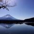 屋外の景色