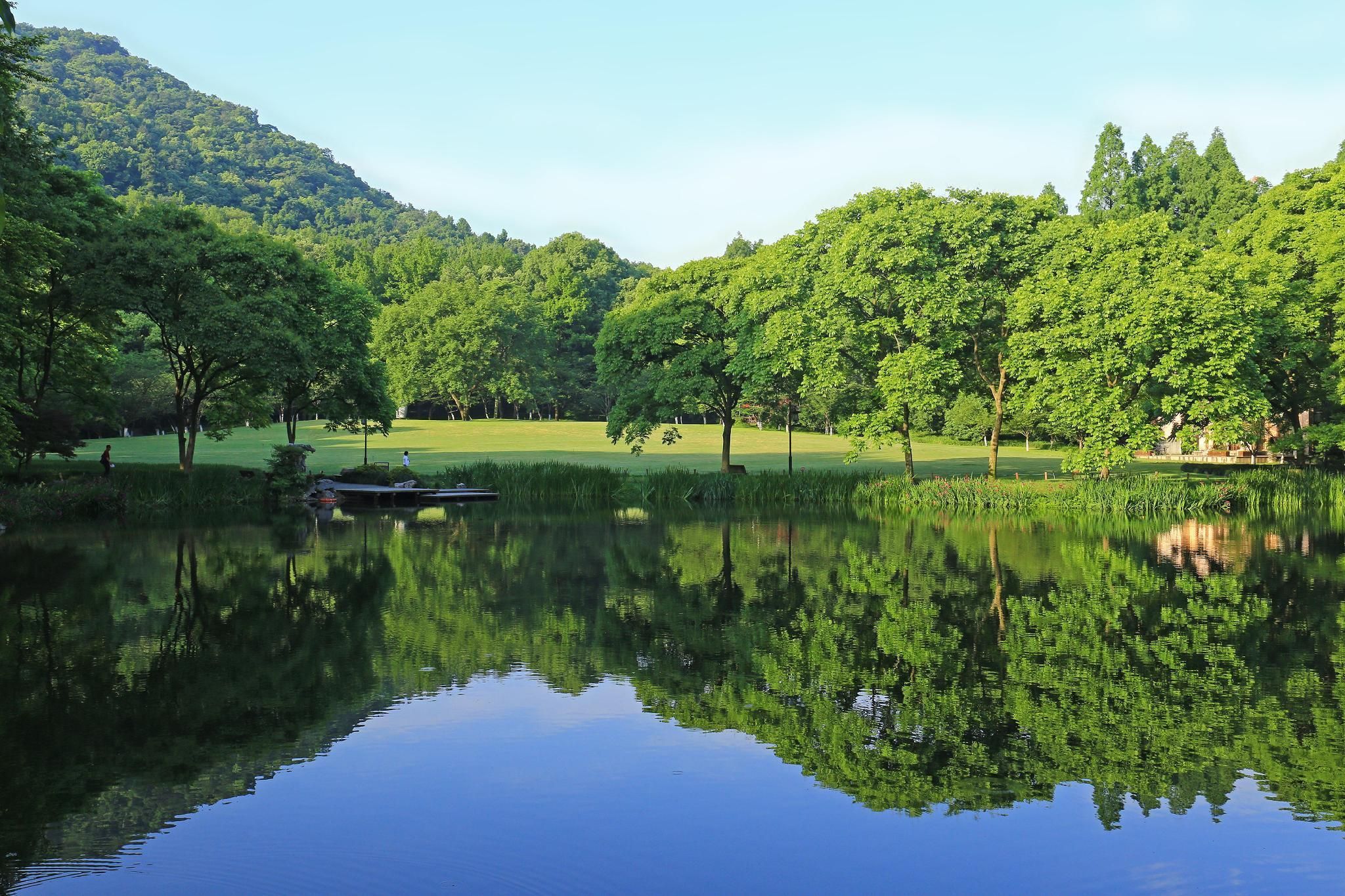 屋外の景色