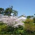 屋外の景色