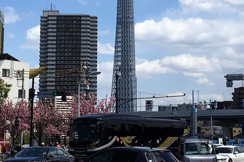 屋外の景色