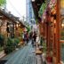 屋外の景色